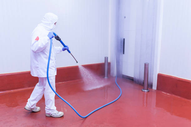 Best Graffiti Removal  in Pleasantville, NJ